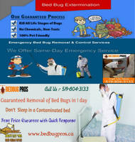 Thermal Bed Bug Extermination Service - Kitchener