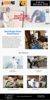 Bed Bug Pros : Bed Bug Heat Treatment