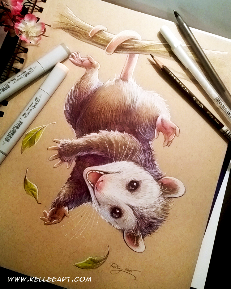 Possum commission