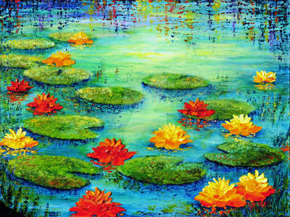 LILY POND