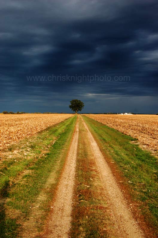 Path to a Storm