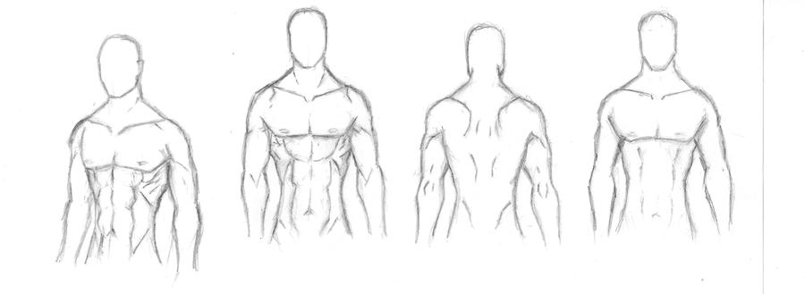 Muscle reference by Arekkusu-Maafi on DeviantArt