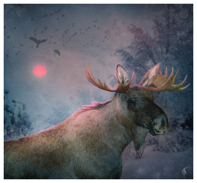 Elk