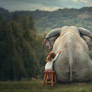 Elephant Friendship