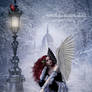 Angel in Winter