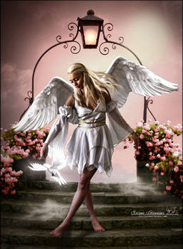1Gossamer