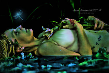 Dragonfly Kiss