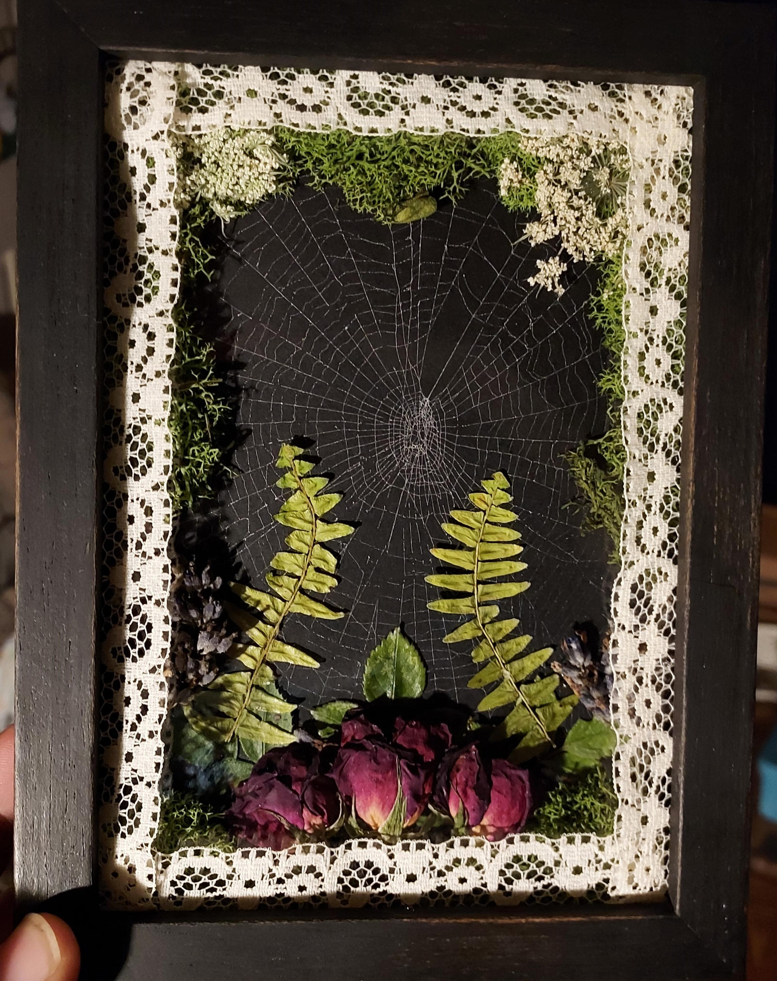 Spiderweb Shadowbox 3 by Leakylocks on DeviantArt