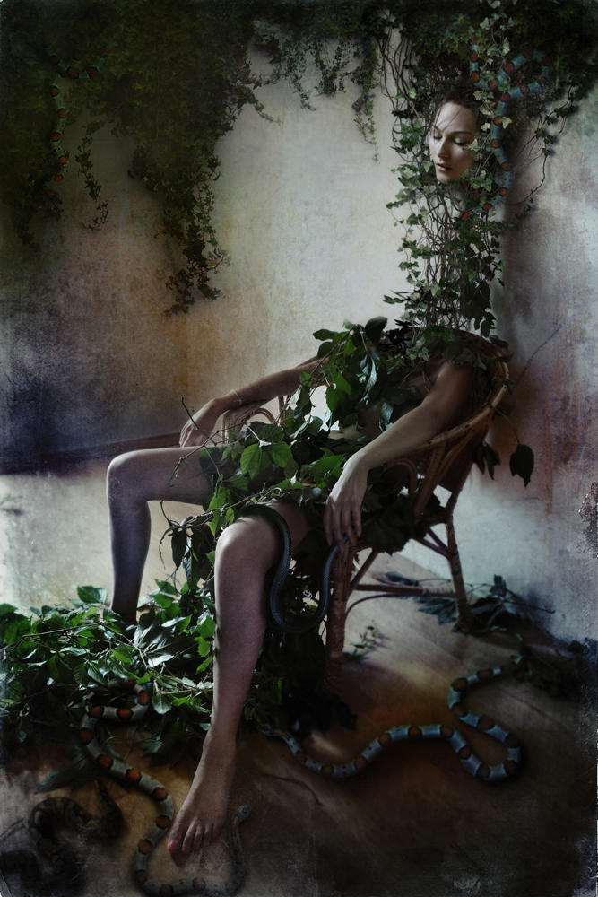 serpentarium by dihaze serpentarium by dihaze