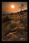 Golden Mountain Sunset by mitchellkrog