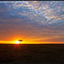 Beautiful Maasai Mara