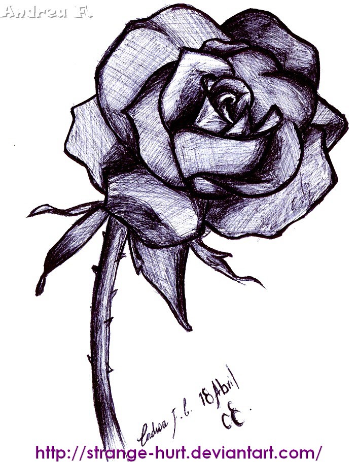 Black rose