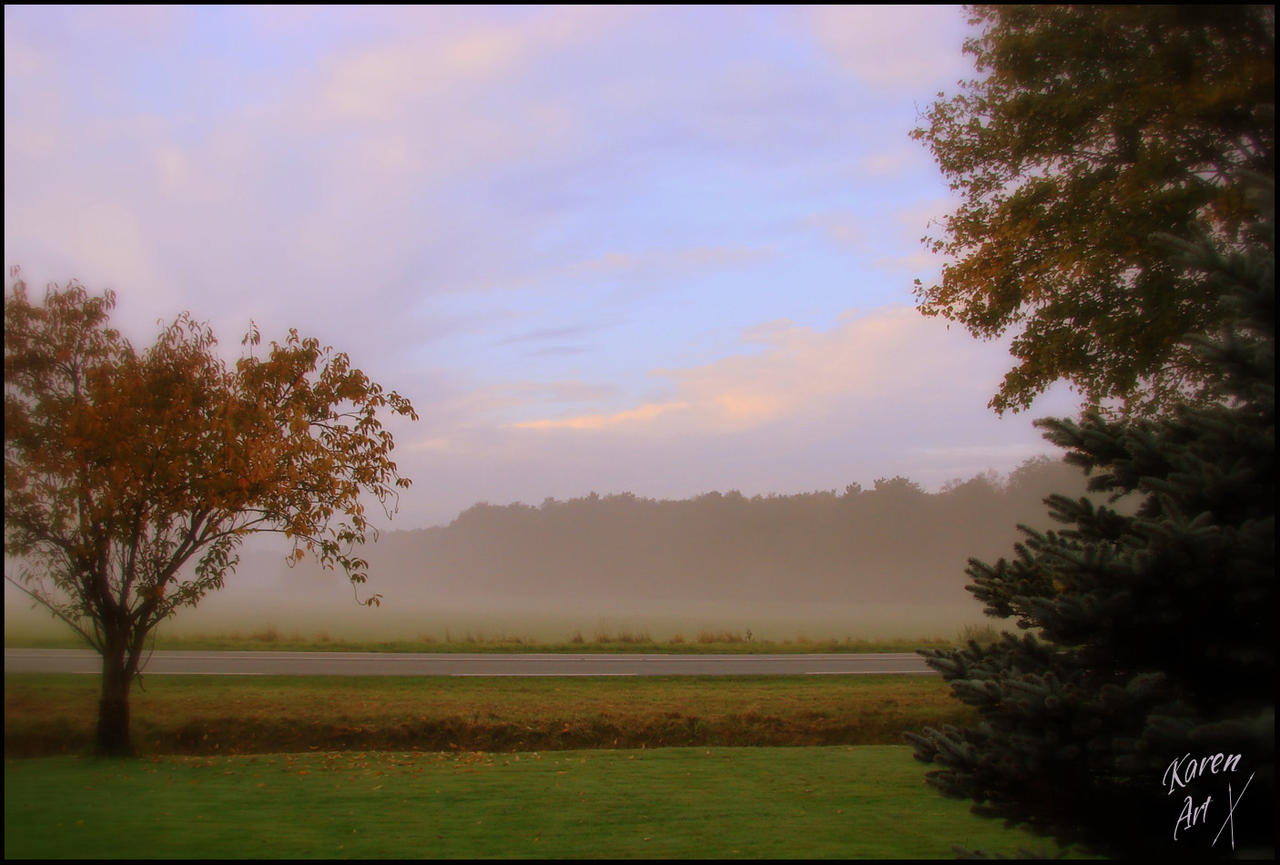 view from my window