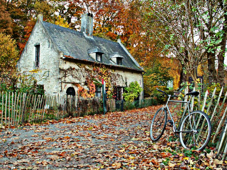 Cozy Little Cottage-France