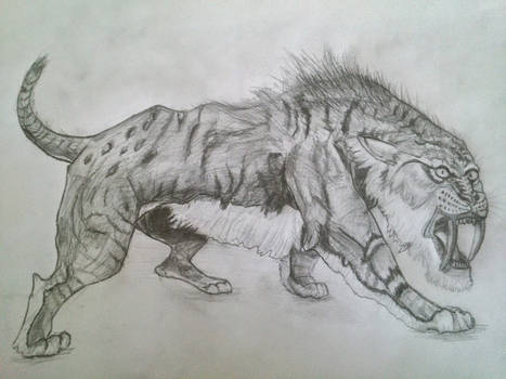 Sabertooth cat