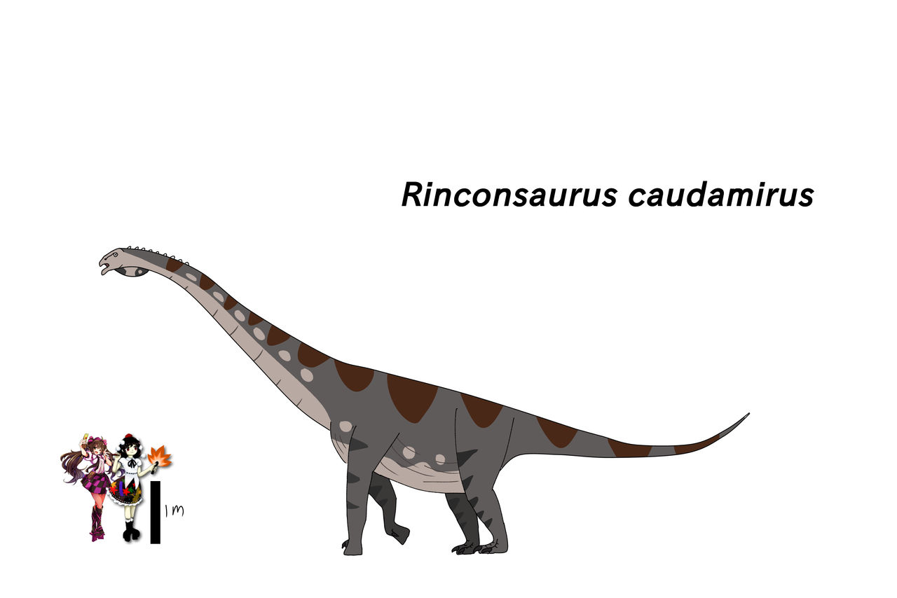 Dinosaur Rinconsaurus Drawing Rinconsaurus caudamirus by FearlessDasp on DeviantArt