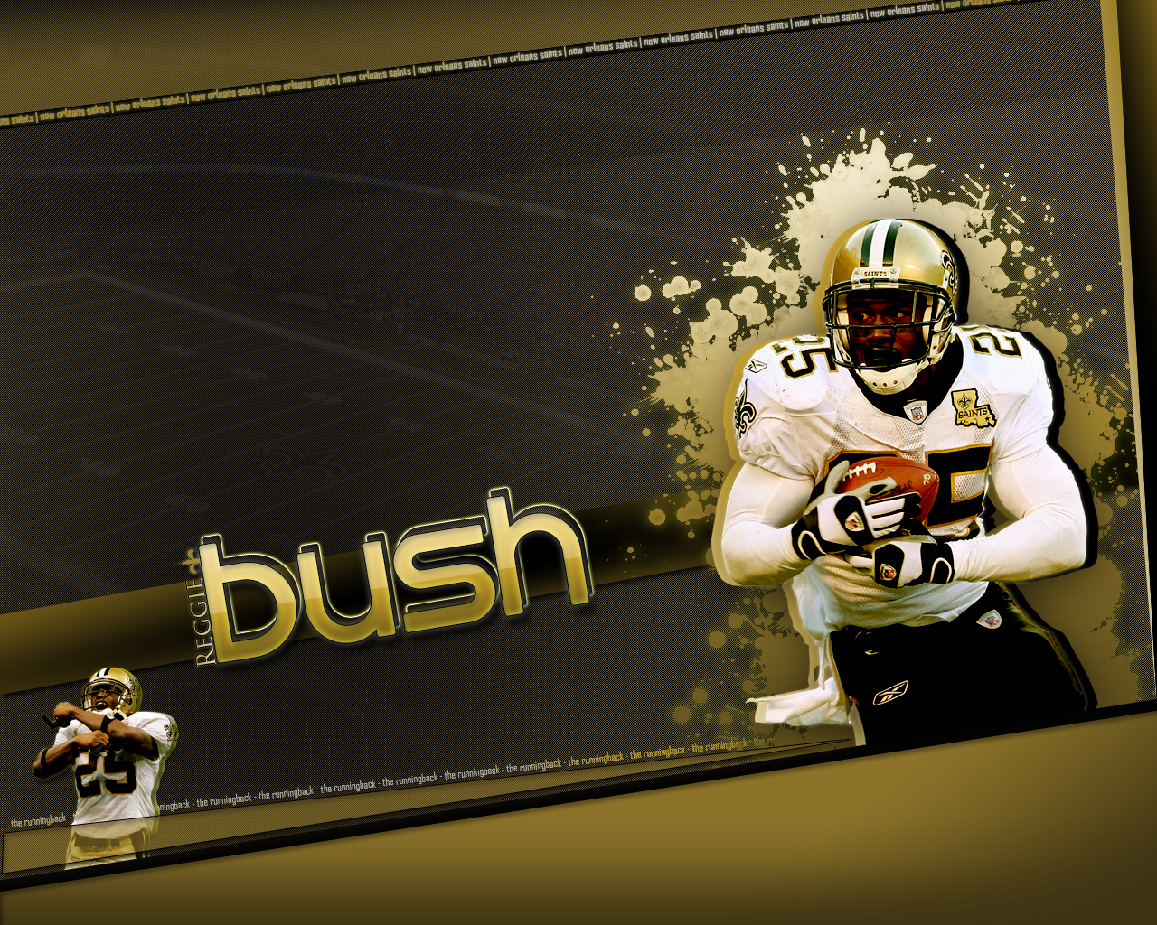 Reggie Bush Wallpaper