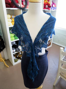 Dragonfly Wings Shawl