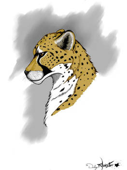 Cheetah Gone Digital