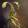 PICKETT THE  BOWTRUCKLE