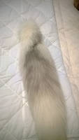 Fox tail~