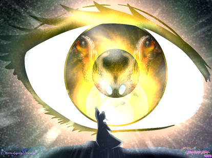 Vision