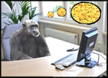 Chimp At Works