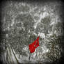 red and white