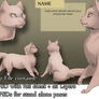 Basic Cat Character Pack