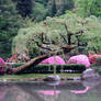 Japanese Garden 1