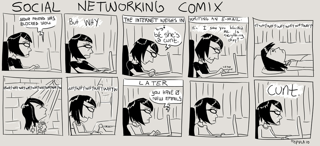 Social Networking Comix