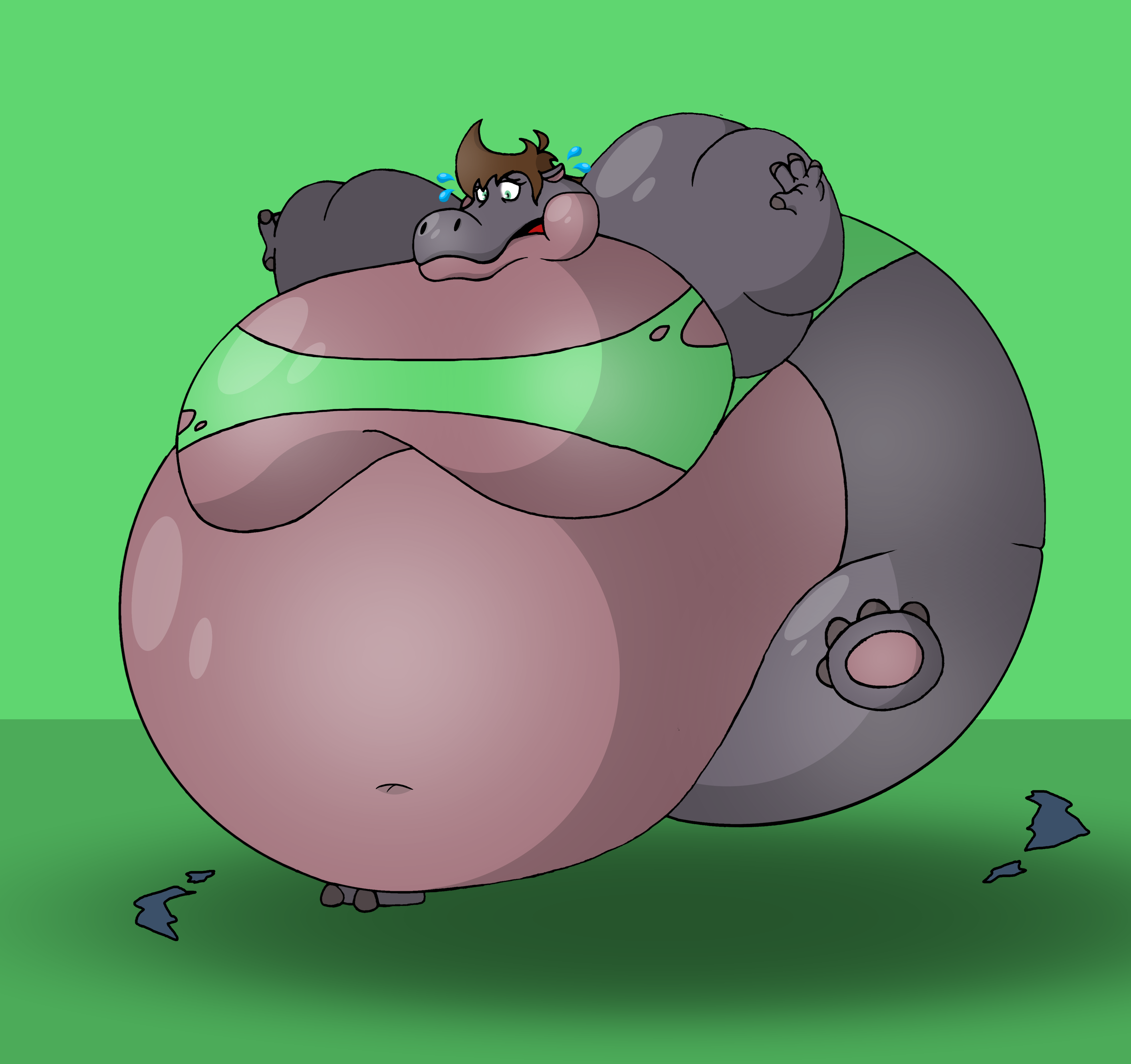 Transformacorp Zoe hippo transformation by TransformaCorp on DeviantArt