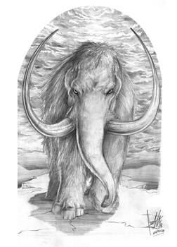 Mammoth Tattoo Design