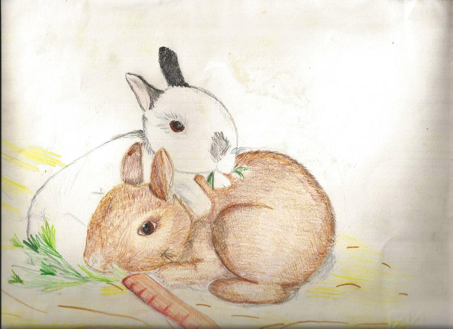 Deviantart Mini Rabbit little bunny by TheLonelyMoon8 on DeviantArt