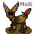 Molli Icon