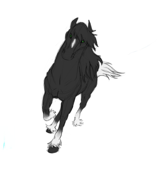 Black Horse