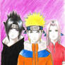 Team 7