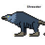 Shrewster