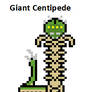 Giant Centipede