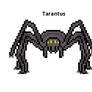 Tarantus