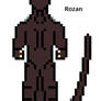 Rozan