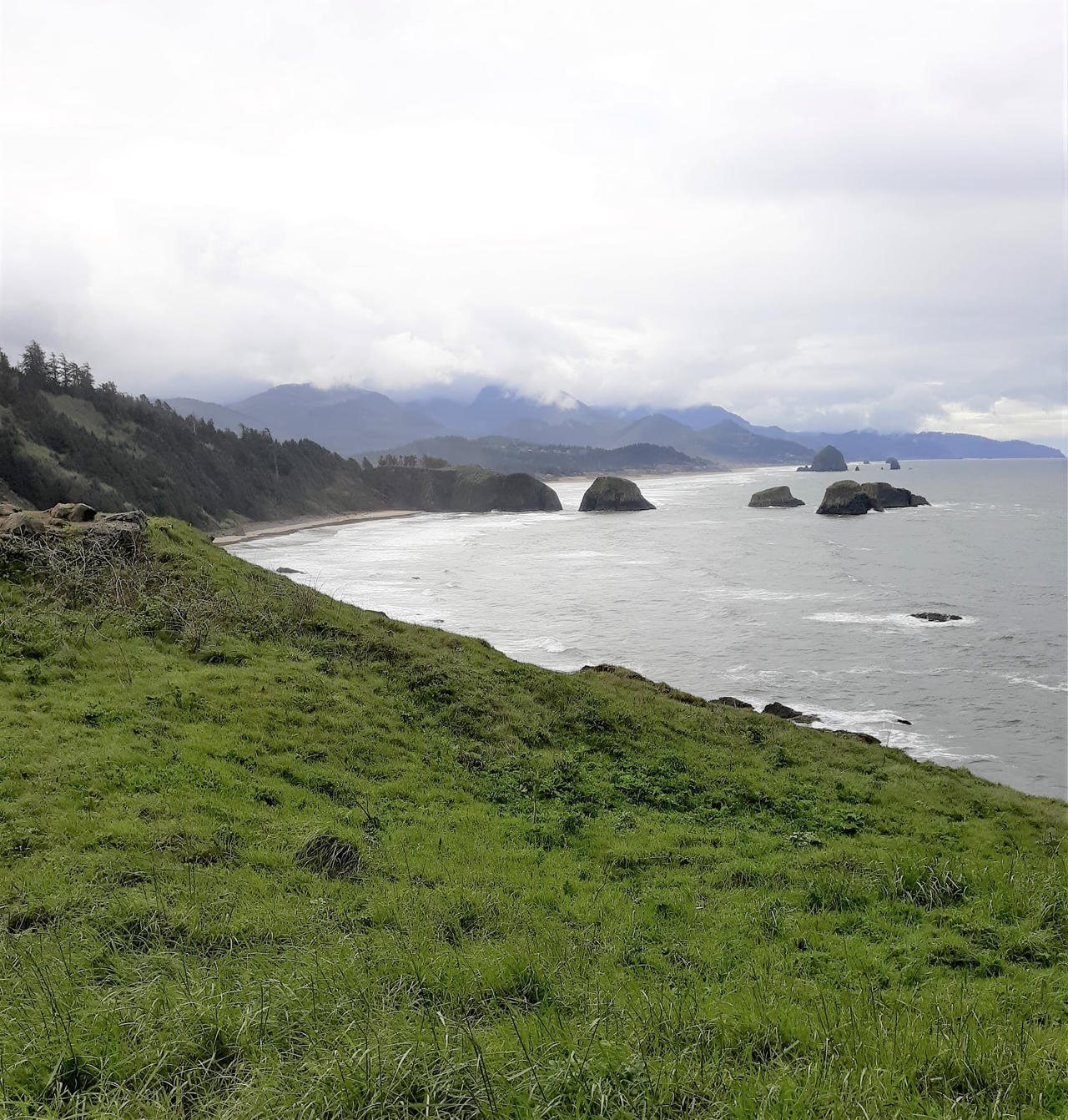 Oregon Coast