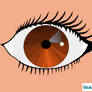 Auburn Eye