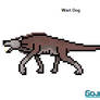 Wart Dog