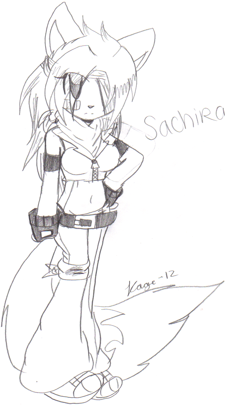 +- Sachira: Revamp -+