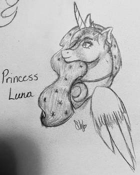 SilververseHC: Princess of the Night