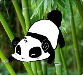 PANDAZ RULE