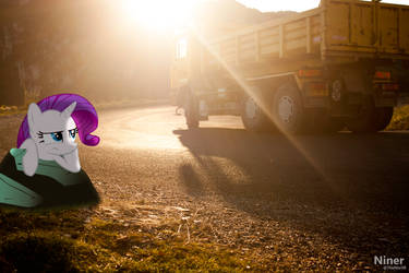 Rarity Bored on the road