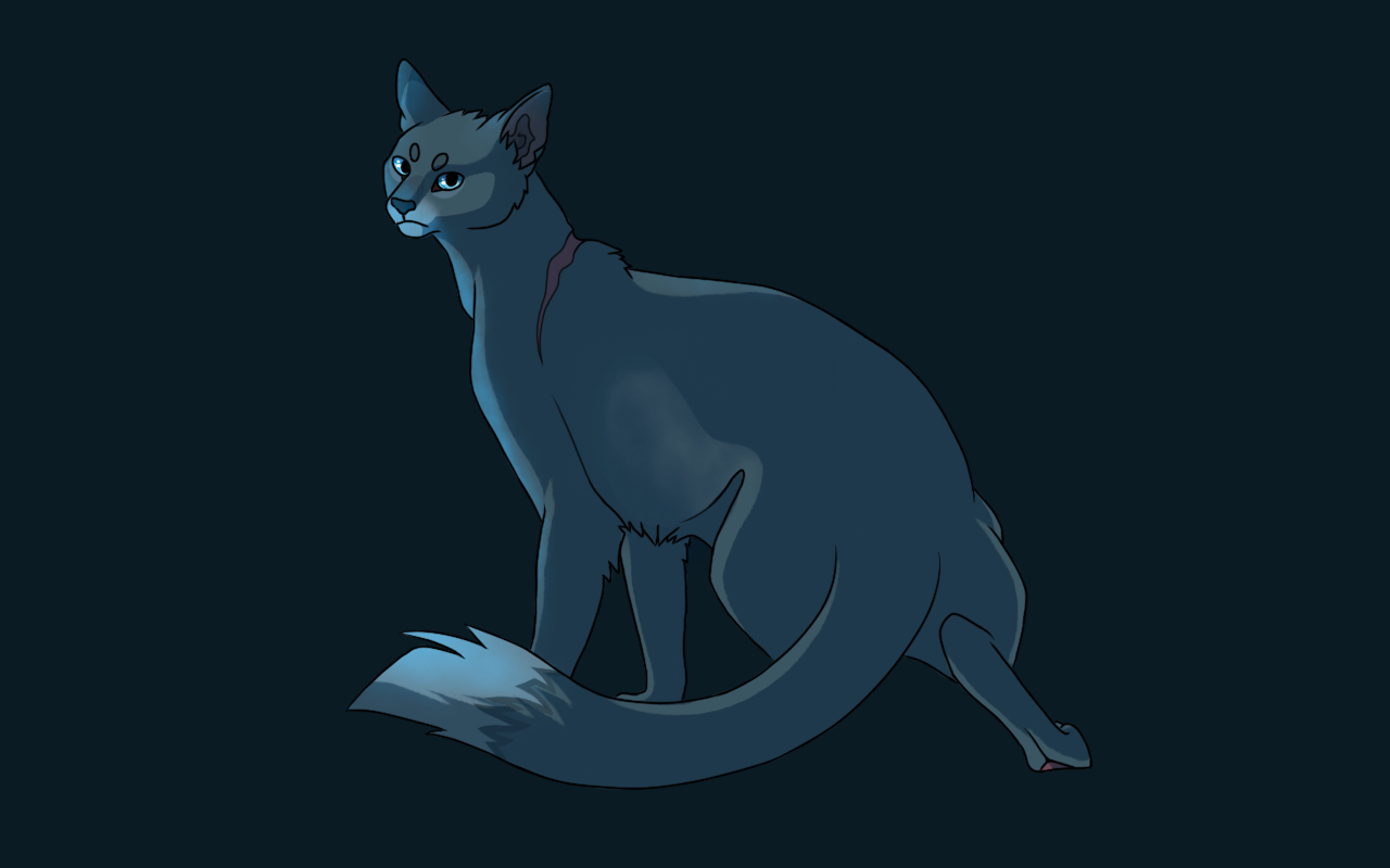 Bluestar by Muzli on deviantART  Warrior cats, Warrior cats art