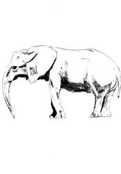 A Realistic Elephant